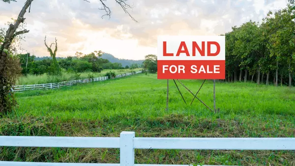 Buying Land Tips & Suggestions