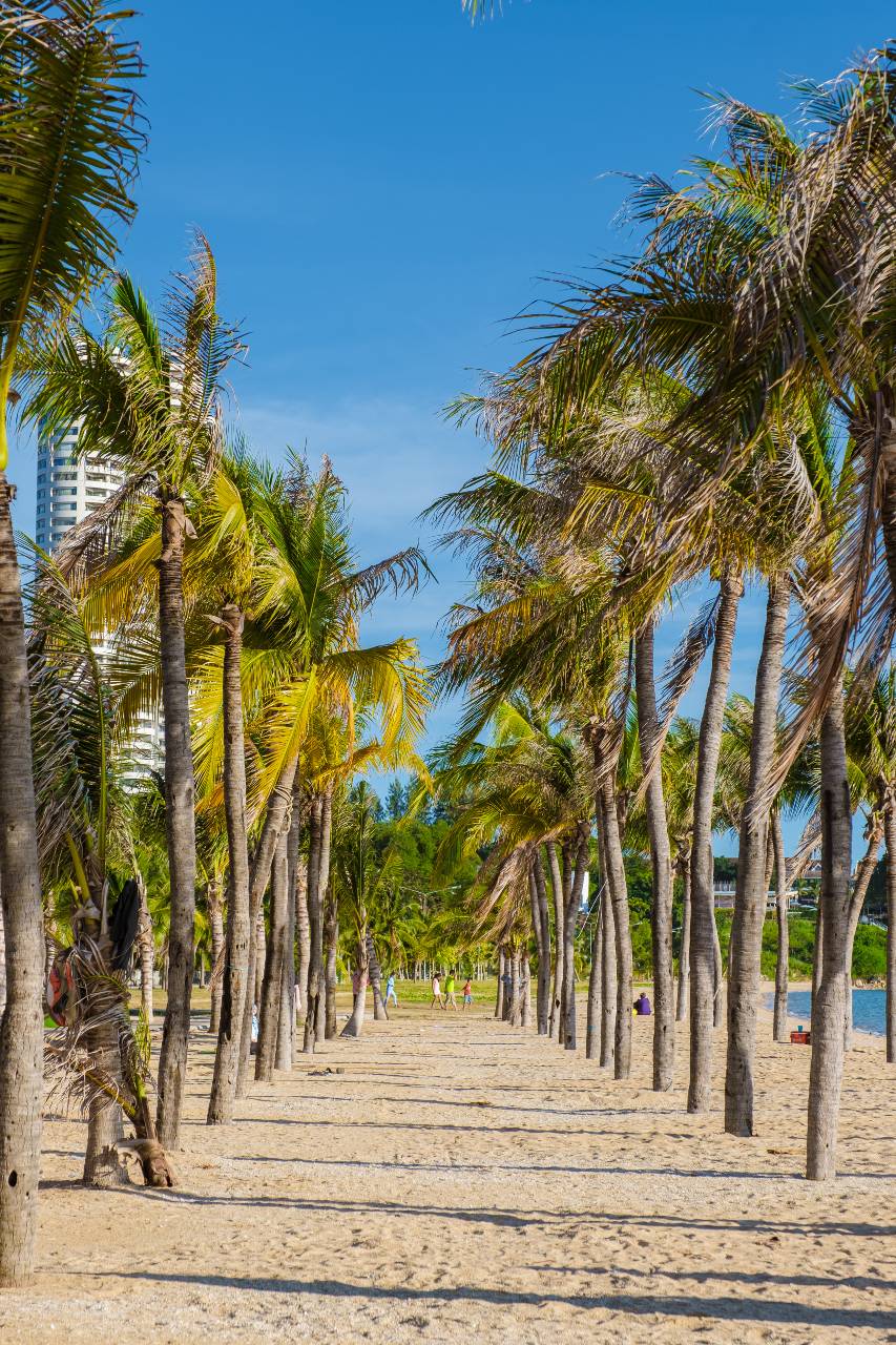 Hallandale Beach homes for sale