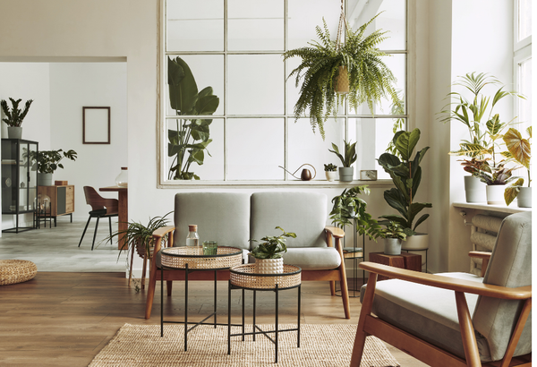 Decorate Like a Pro: Expert Tips for Stylish Spaces,Luxe Omni