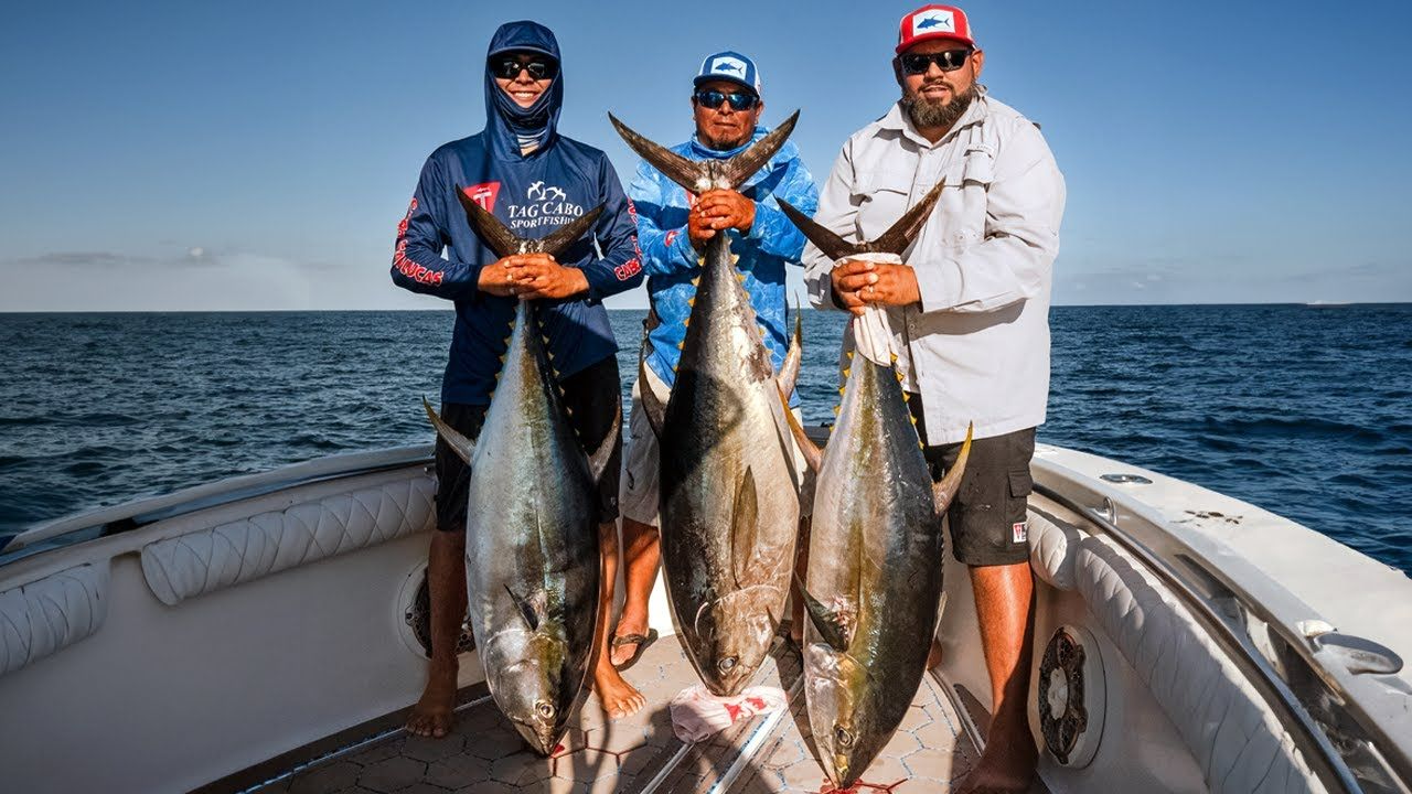 The Ultimate Guide to Fishing Tournaments in Los Cabos This April 2...