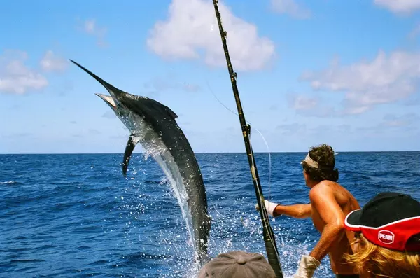 The Ultimate Guide to Fishing Tournaments in Los Cabos This April 2024