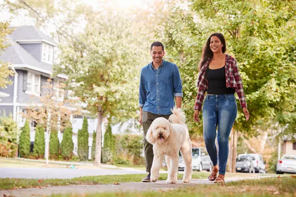 Finding Your Perfect Spot: The Magic of Choosing the Right Neighborhood,Susan Gardner