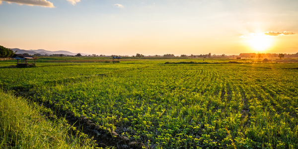 Waterbrook Farms Community