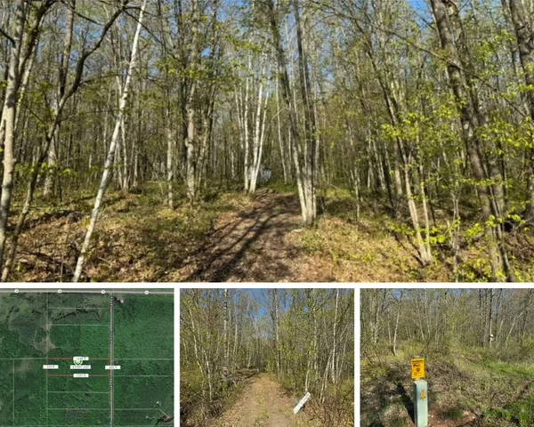 McGrath Acreage For Sale -- 9+Acres,Chuck Carstensen