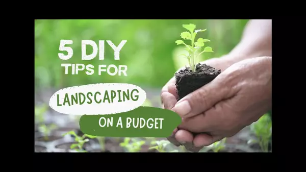 Landscaping on a Budget: 5 Ways to Transform Your Outdoor Space,Laurie Dick