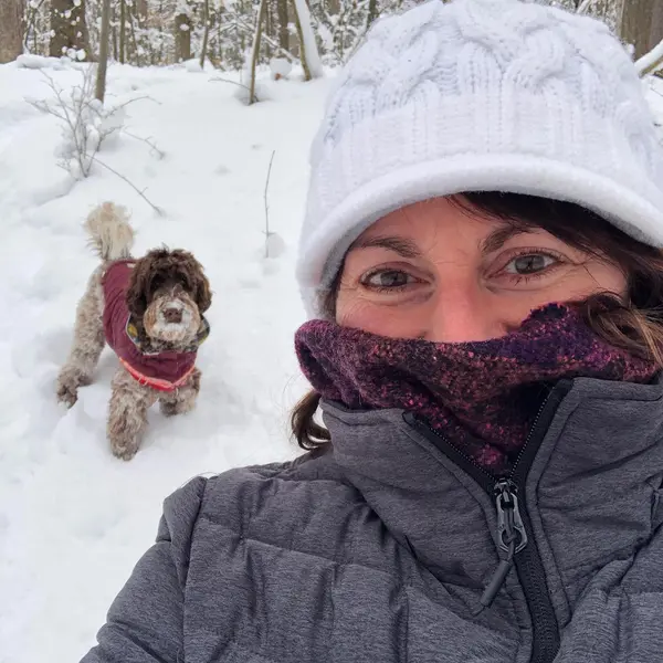 Millie and my woods walks!