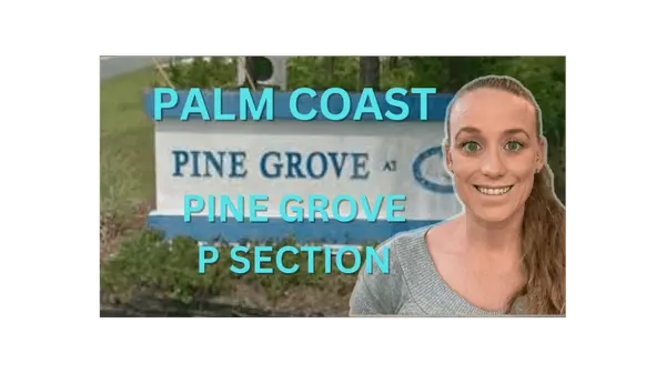 Palm Coast Pine Grove P Section,Stephanie Shulas
