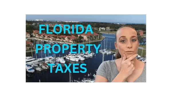 Florida Property Taxes,Stephanie Shulas