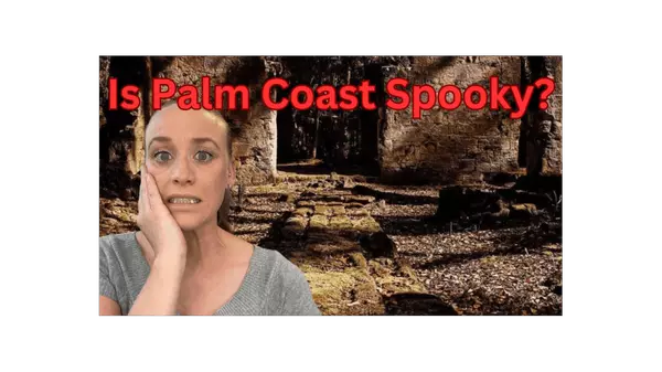 Is Palm Coast Spooky,Stephanie Shulas