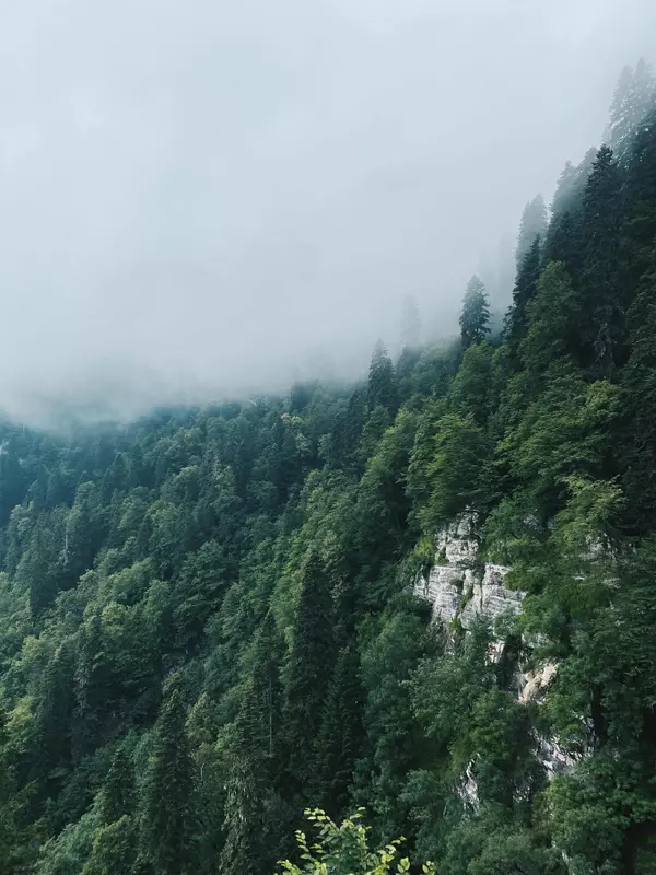 The Science Behind the Smoky Mountains' Misty Appearance,Ken Herod