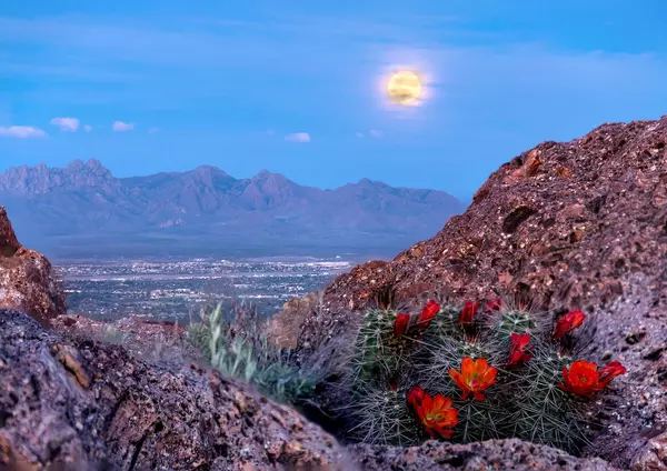 sunset-over-las-cruces-new-mexico-landscape-1200x849