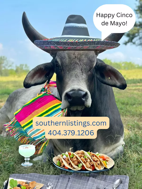 This Weekend Is Cinco De Mayo.  Let's Get Festive!,Elena Stanfield