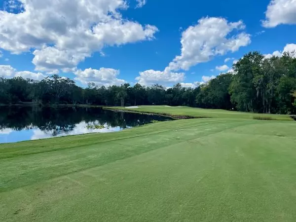 The Most Exclusive Country Clubs in Tampa Bay: A Luxurious Lifestyle Awaits,Shane Vanderson