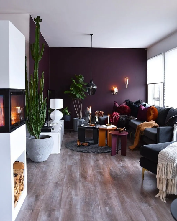 7 Accent Wall Dos and Don'ts Every Homeowner Should Know,Luxe Omni
