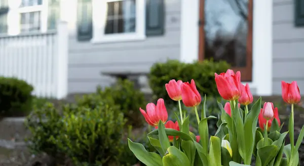 Common Questions About Selling Your House,James Lynch