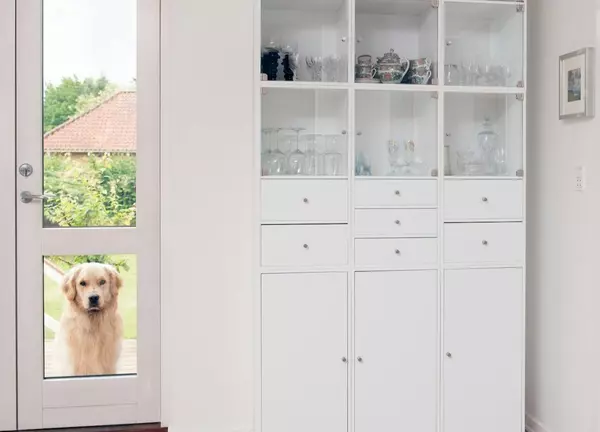 7 Tips For a Pet-Friendly Home,Jennifer S. Goodman