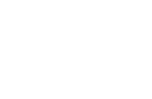 The Wes Dowse Team