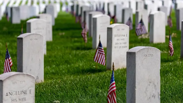 The History of Memorial Day,David Nelson