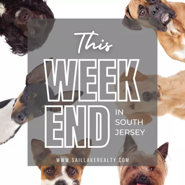 Weekend Adventures: Free Washes, Fairy Tales, and Furry Friends in South Jersey,Michelle McMaster