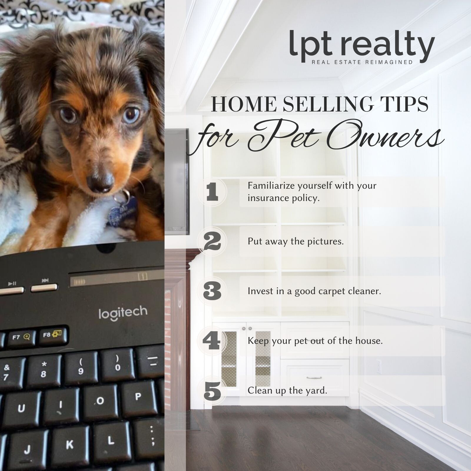 Selling Your Pet's Home