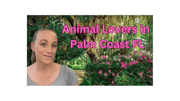 Animal Lovers Guide to Palm Coast + Flagler Beach Florida,Stephanie Shulas