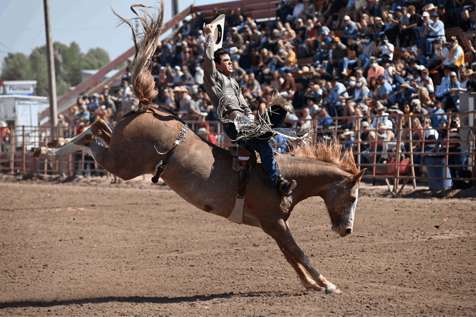 Rigby, Idaho 