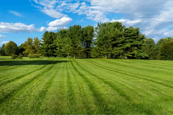 Discover the Charm of Rigby, Idaho: A Real Estate Haven of One-Acre Communities,Idaho Agents Real Estate