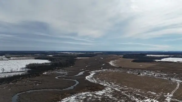 40 Acres of Hunting Land in Morrison County,Chuck Carstensen