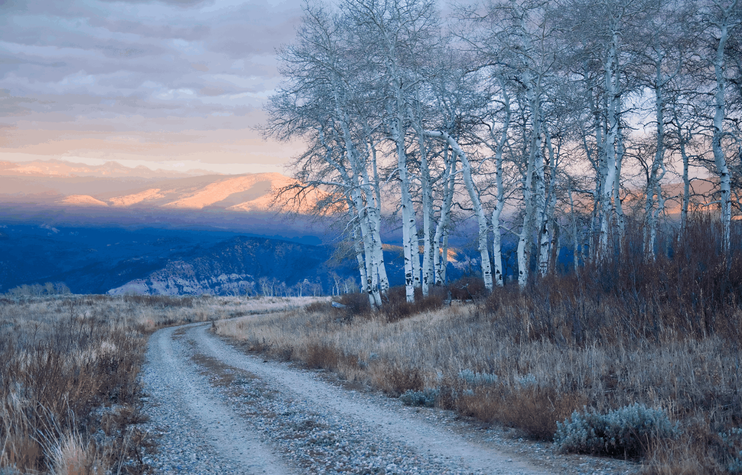 Sunset over snowy mountain peaks and aspen trees along a gravel road in the rural Colorado Rockies