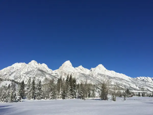 Q1 JACKSON HOLE REPORT 2024 ,Amanda Wengerd