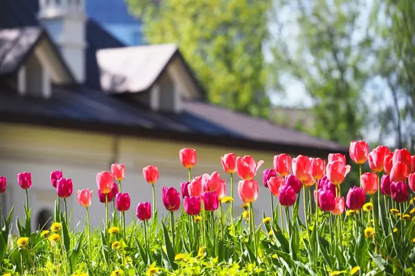 Home Buyer's Guide- Spring Edition