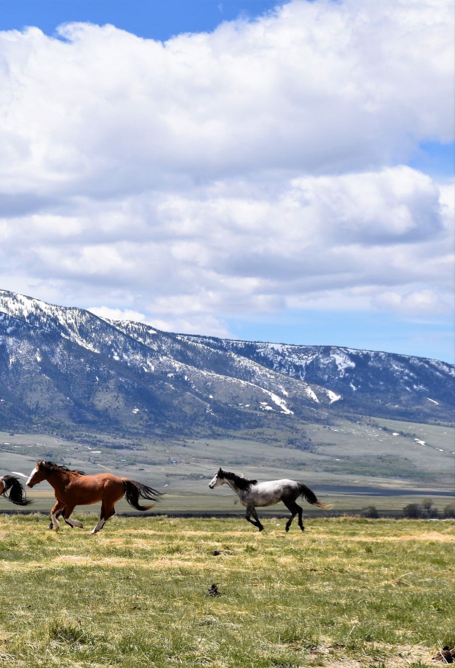 east idaho real estate