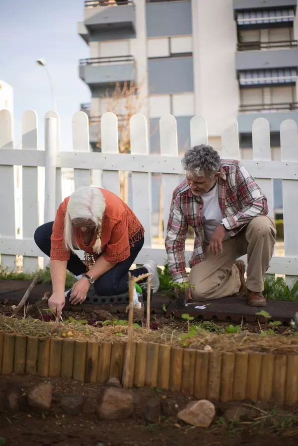 Tips For Starting Your Garden This Spring,Sierra Harrison