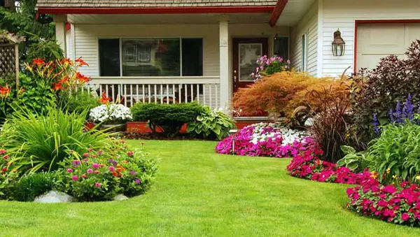 Ultimate Guide to a Healthy Lawn,Jenny Barthel