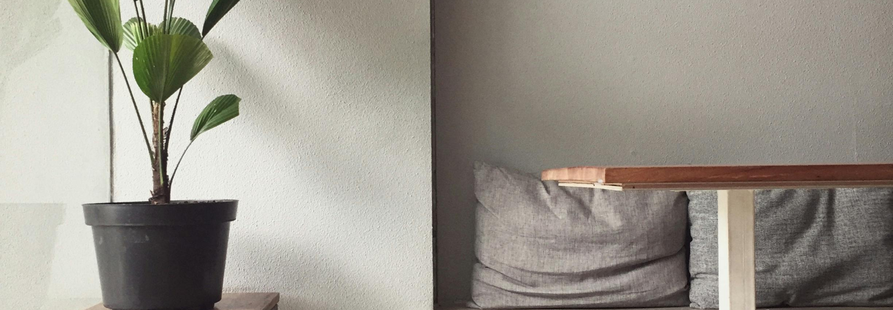 Calm, light-filled interior detail