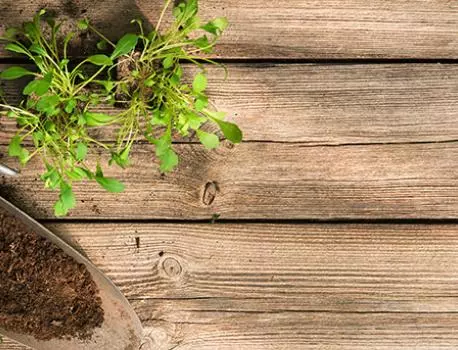 5 'Gotta-Dos' In April for a Worry-Free Summer,Ali Pourmemar