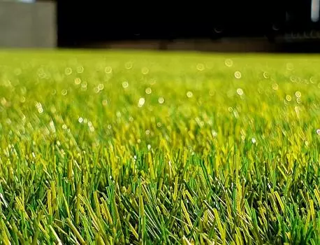 How to Break Up With Your Lawn and Boost Resale Value,Ali Pourmemar