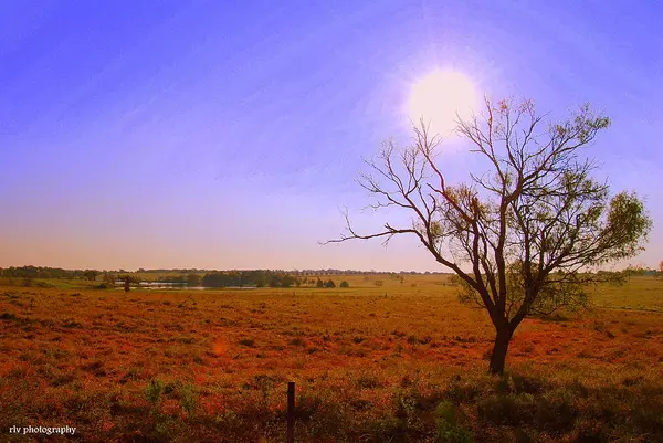 How To Tame The Texas Heat!!,Ryan Cornist