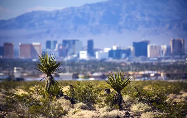 Is 2024 the Year to Strike Gold in Las Vegas Real Estate?,Bret Jenny