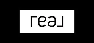 REAL Brokers LLC