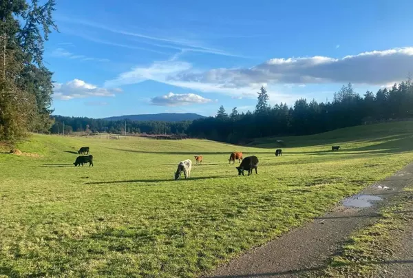 Discover the Charms of Cedar, BC: A Rural Paradise in Nanaimo