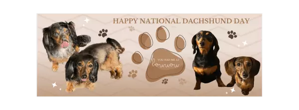 My Pack Is Celebrating,Eileen Winfrey