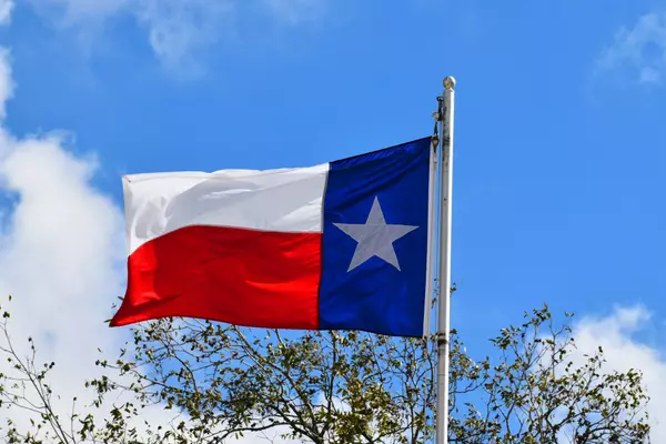 Choosing Between City Life and Country Living When Moving to Texas