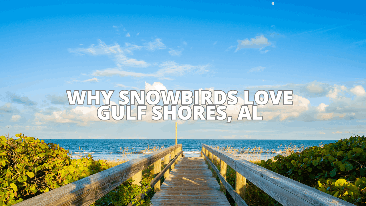 Why Snowbirds Love Gulf Shores, Alabama