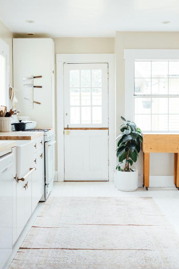 Ultimate Pet Odor Solution: Your One-Stop for a Fresh-Smelling Home,Luxe Omni
