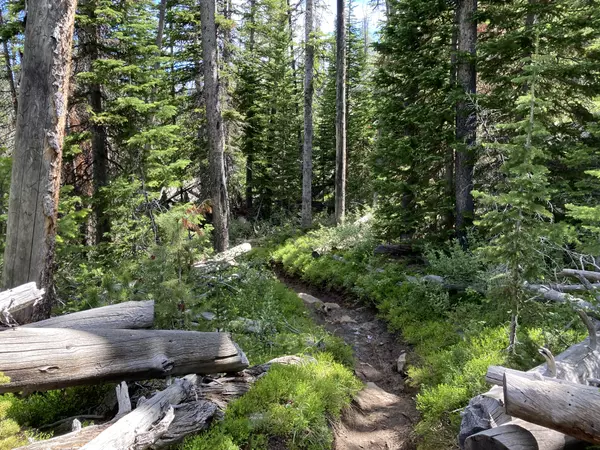 Explore Pinedale's Top Hiking Trails: Start Your Adventure Today! ,Vanessa Cameron