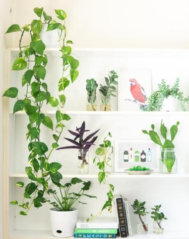SPRUCE UP YOUR EMPTY HOME!,Jeremy Norman