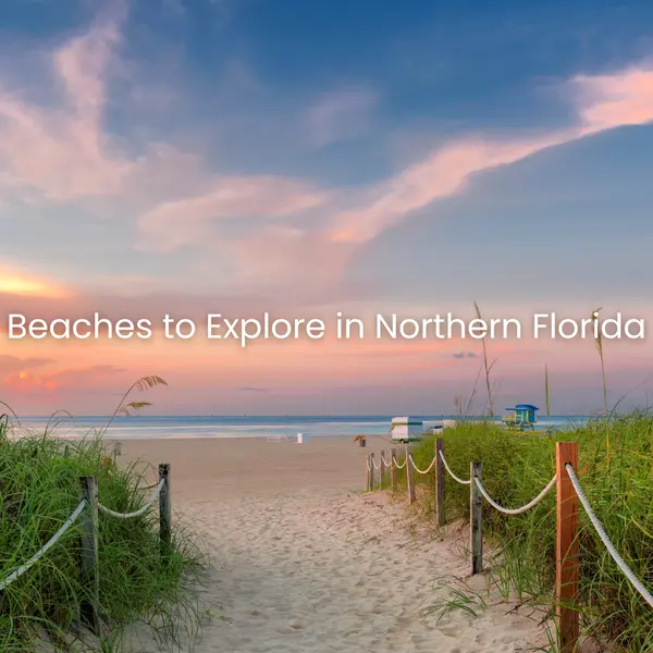 Discover the Charm of Northern Florida Beaches with Emerald Coast Home Collective,Heather Curry