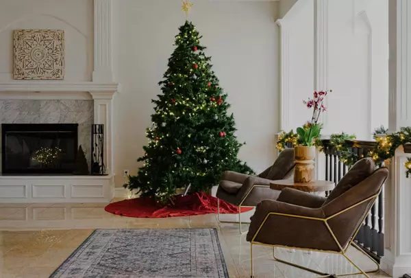 Deck the Halls with a Live Christmas Tree: Tips for a Lush Holiday in SW Florida,VIPREALTY.com, LLC