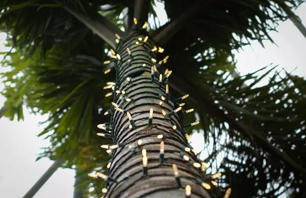 Holiday Decorating Tips for SW Florida Homes: Bringing the Tropics to the Festivities,VIPREALTY.com, LLC